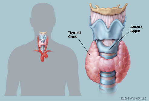 Alternative treatment for low testosterone