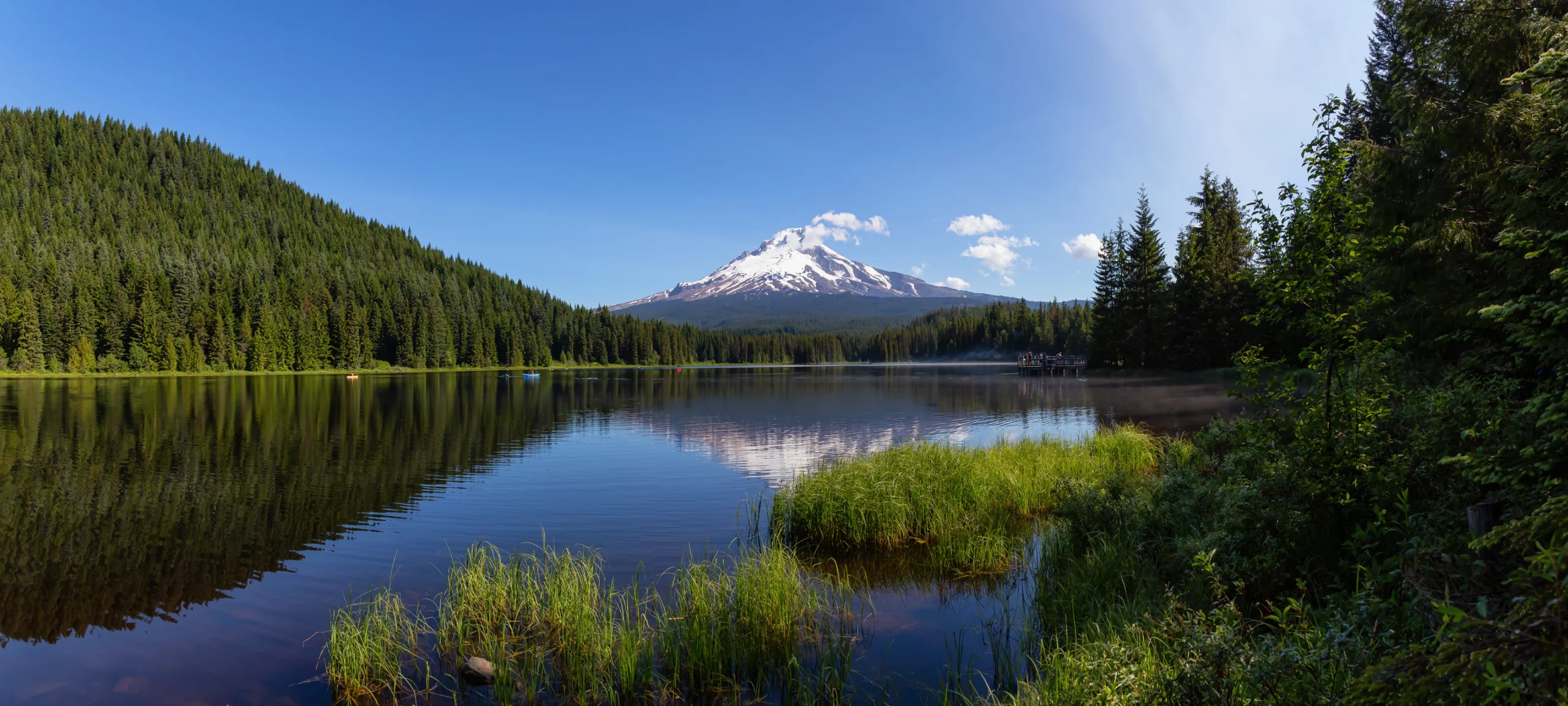Oregon Natural Medicine