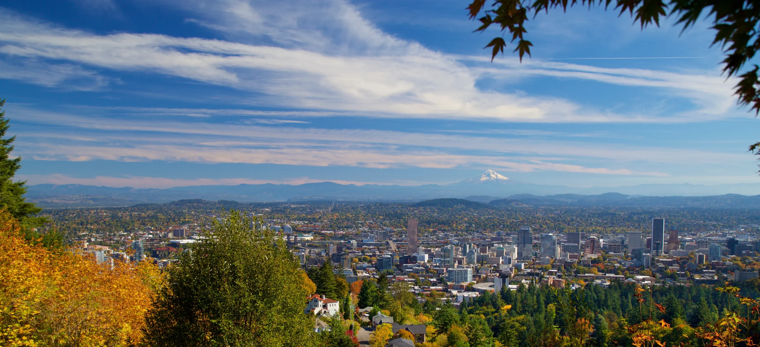 New Naturopathic Patient Form | Oregon Natural Medicine